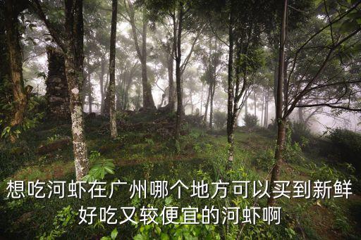 想吃河蝦在廣州哪個地方可以買到新鮮好吃又較便宜的河蝦啊