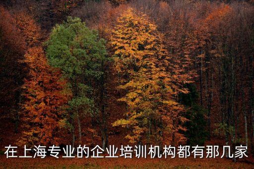 在上海專業(yè)的企業(yè)培訓(xùn)機(jī)構(gòu)都有那幾家