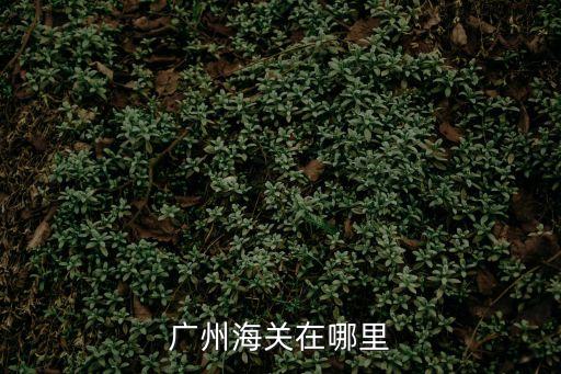 廣州大鐘樓海關(guān)還在嗎，廣州海關(guān)大鐘樓是否只有星期三開放