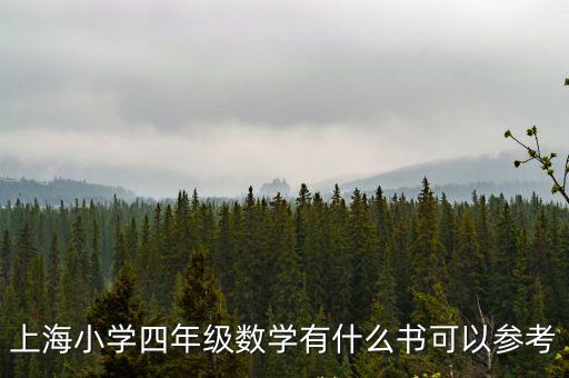 上海小學(xué)四年級數(shù)學(xué)有什么書可以參考