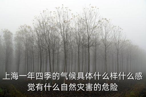 上海一年四季的氣候具體什么樣什么感覺有什么自然災害的危險