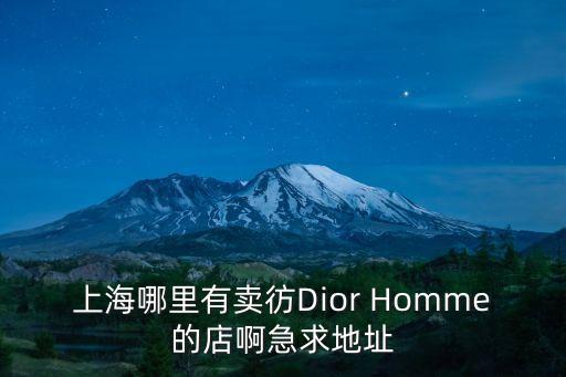 上海哪里有賣彷Dior Homme的店啊急求地址