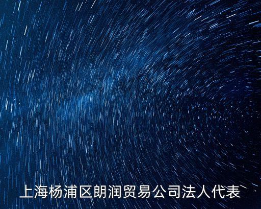 上海市楊浦區黃國平，上海同宜滬工程咨詢有限公司信息查詢