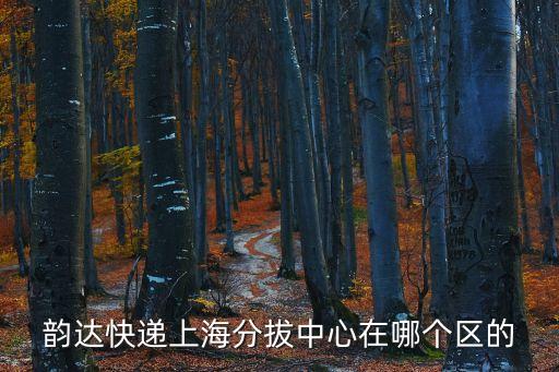 上海市韻達網點分布，韻達快遞上海公司在什么地方