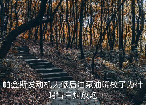 帕金斯發(fā)動(dòng)機(jī)大修后油泵油嘴校了為什嗎冒白煙放炮