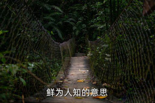 鮮為人知的意思