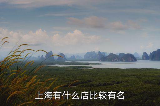 上海有什么店比較有名