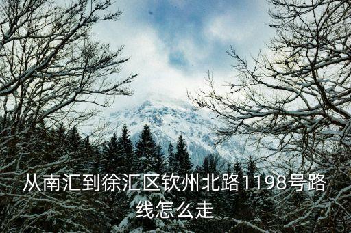 上海市欽州北路怎么去，從南匯到徐匯區(qū)欽州北路1198號路線怎么走