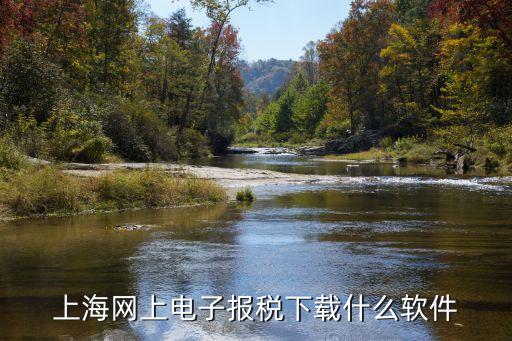 上海市網上開票系統下載，上海市網上報稅軟件哪里下載