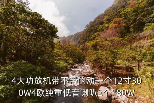 廣州天一音箱廠功放機，音響功放機