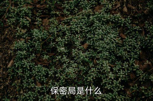 保密局是什么