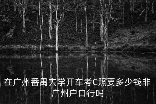廣州番禺考c1駕照，廣州市番禺區(qū)南村鎮(zhèn)塘西村考C照多少錢