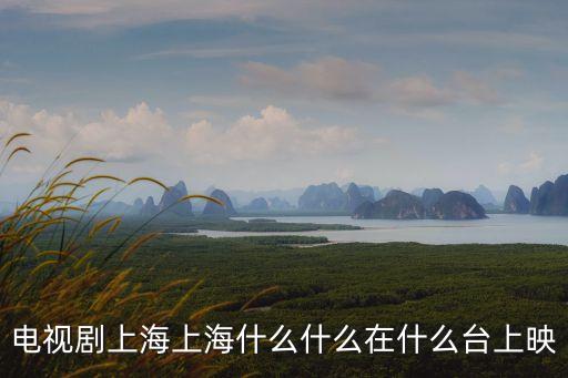 電視劇上海上海什么什么在什么臺上映