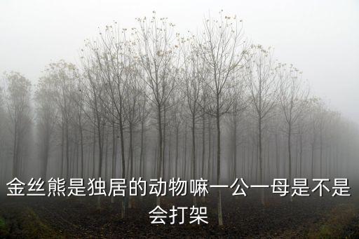 金絲熊是獨居的動物嘛一公一母是不是會打架
