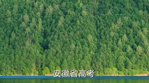 安徽高考，安徽省高考