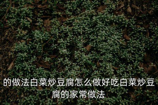 的做法白菜炒豆腐怎么做好吃白菜炒豆腐的家常做法