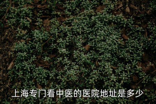 上海專(zhuān)門(mén)看中醫(yī)的醫(yī)院地址是多少
