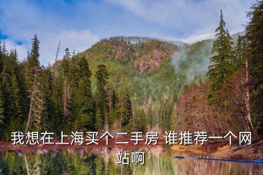 我想在上海買個二手房 誰推薦一個網(wǎng)站啊