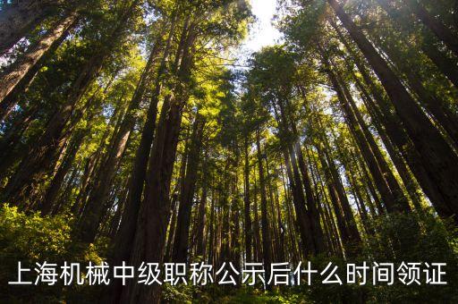 上海市中級證書什么時候領取，上海2014年度工程系列中級職稱什么時候領證