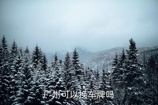 廣州可以換車牌嗎