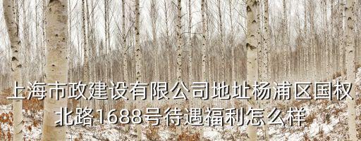上海市政建設有限公司地址楊浦區國權北路1688號待遇福利怎么樣