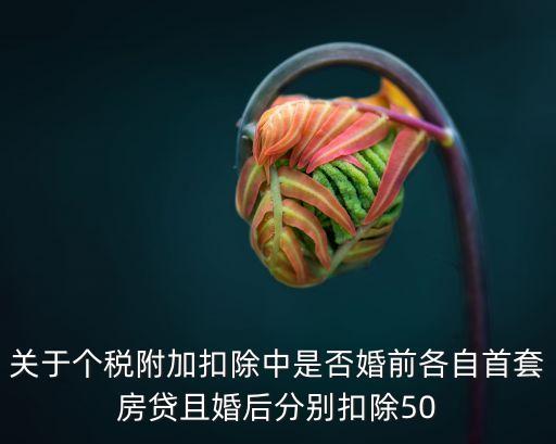 上海市稅務局2019年1號，上海稅務查詢