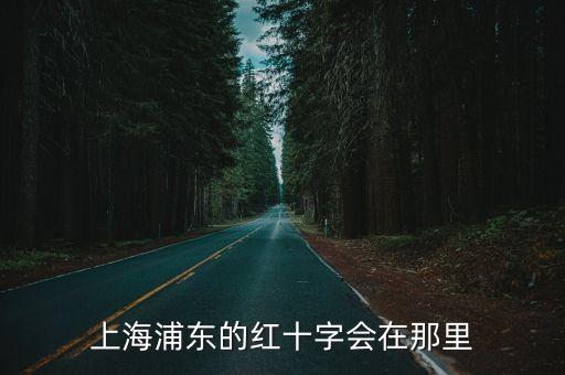 上海浦東的紅十字會在那里