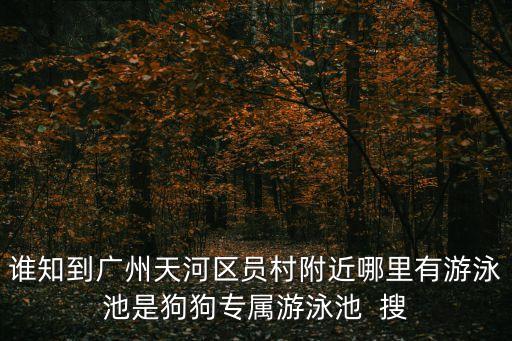 廣州天河員村附近哪里有游泳池，廣州員村工人文化宮有游泳池或游泳館嗎
