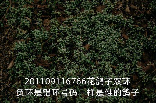 上海市信鴿協會特比賽，信鴿201309351679上海嘉定特比誰的有成績嗎