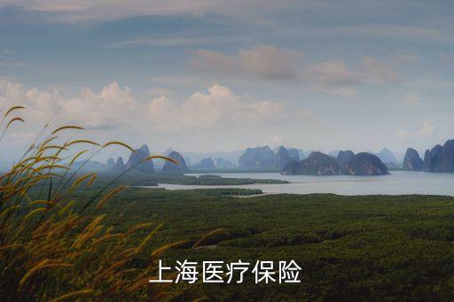 上海醫療保險