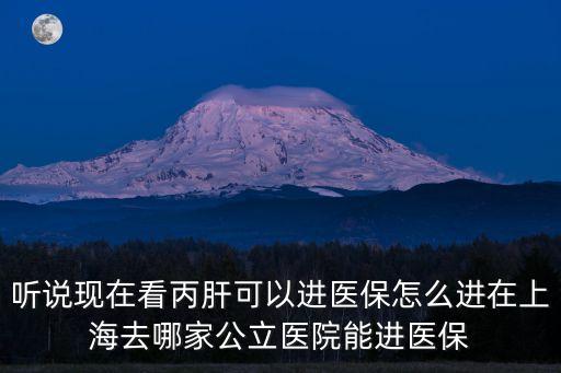 聽說現在看丙肝可以進醫保怎么進在上海去哪家公立醫院能進醫保