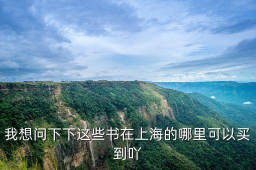 上海市霖峻書，上海書城那家門店最大書最全