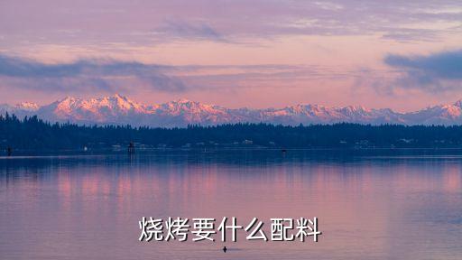 燒烤要什么配料