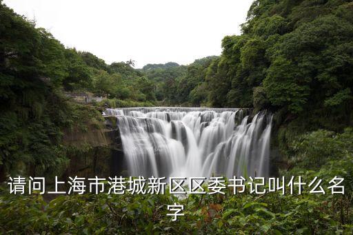 請(qǐng)問(wèn)上海市港城新區(qū)區(qū)委書(shū)記叫什么名字