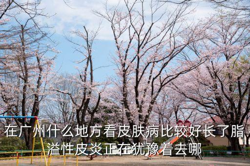 在廣州什么地方看皮膚病比較好長了脂溢性皮炎正在猶豫著去哪
