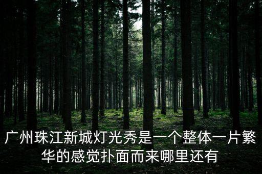 廣州珠江新城燈光秀是一個整體一片繁華的感覺撲面而來哪里還有