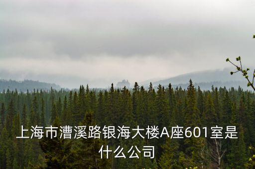 上海市漕溪路銀海大樓A座601室是什么公司