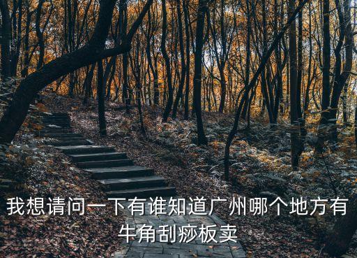 我想請問一下有誰知道廣州哪個地方有牛角刮痧板賣