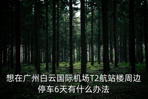 想在廣州白云國際機場T2航站樓周邊停車6天有什么辦法