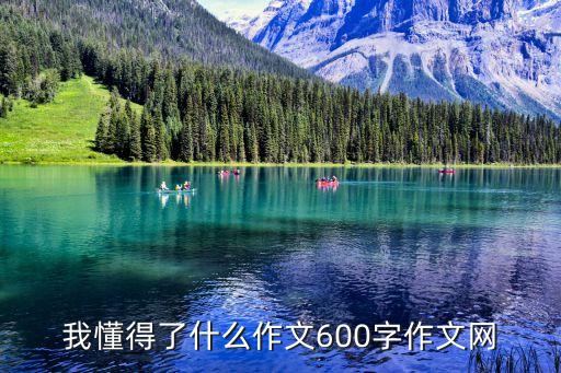 我懂得了什么作文600字作文網