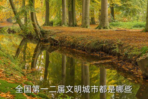 全國第一二屆文明城市都是哪些