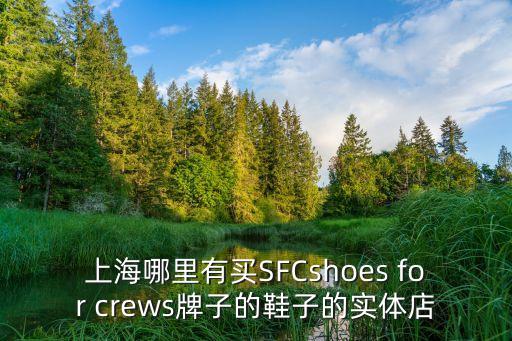 上海哪里有買SFCshoes for crews牌子的鞋子的實體店