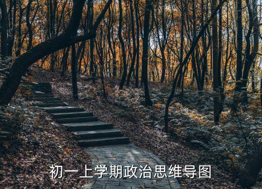 初一上學(xué)期政治思維導(dǎo)圖