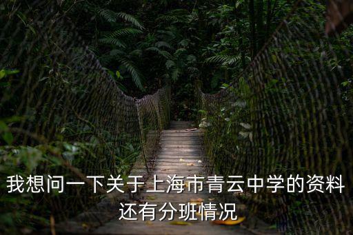 我想問一下關于上海市青云中學的資料 還有分班情況
