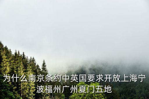上海市通商口岸嗎，南京條約規定開放廣州廈門福州上海南京五處為通商口岸