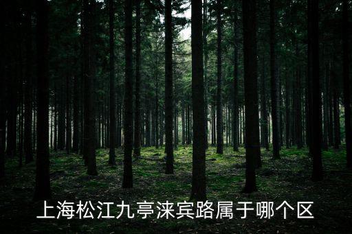 上海松江九亭淶賓路屬于哪個(gè)區(qū)