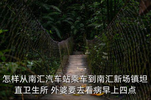 怎樣從南匯汽車站乘車到南匯新場鎮坦直衛生所 外婆要去看病早上四點