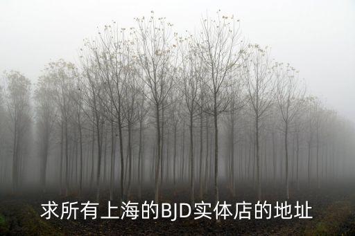 求所有上海的BJD實體店的地址