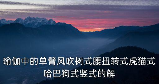 瑜伽中的單臂風(fēng)吹樹(shù)式腰扭轉(zhuǎn)式虎貓式哈巴狗式豎式的解