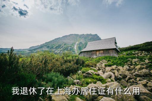 我退休了，我退休了已領退休金又在一單位上班單位又叫我交養老保險以后辭